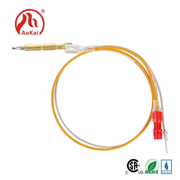 Gaasi Thermocouple